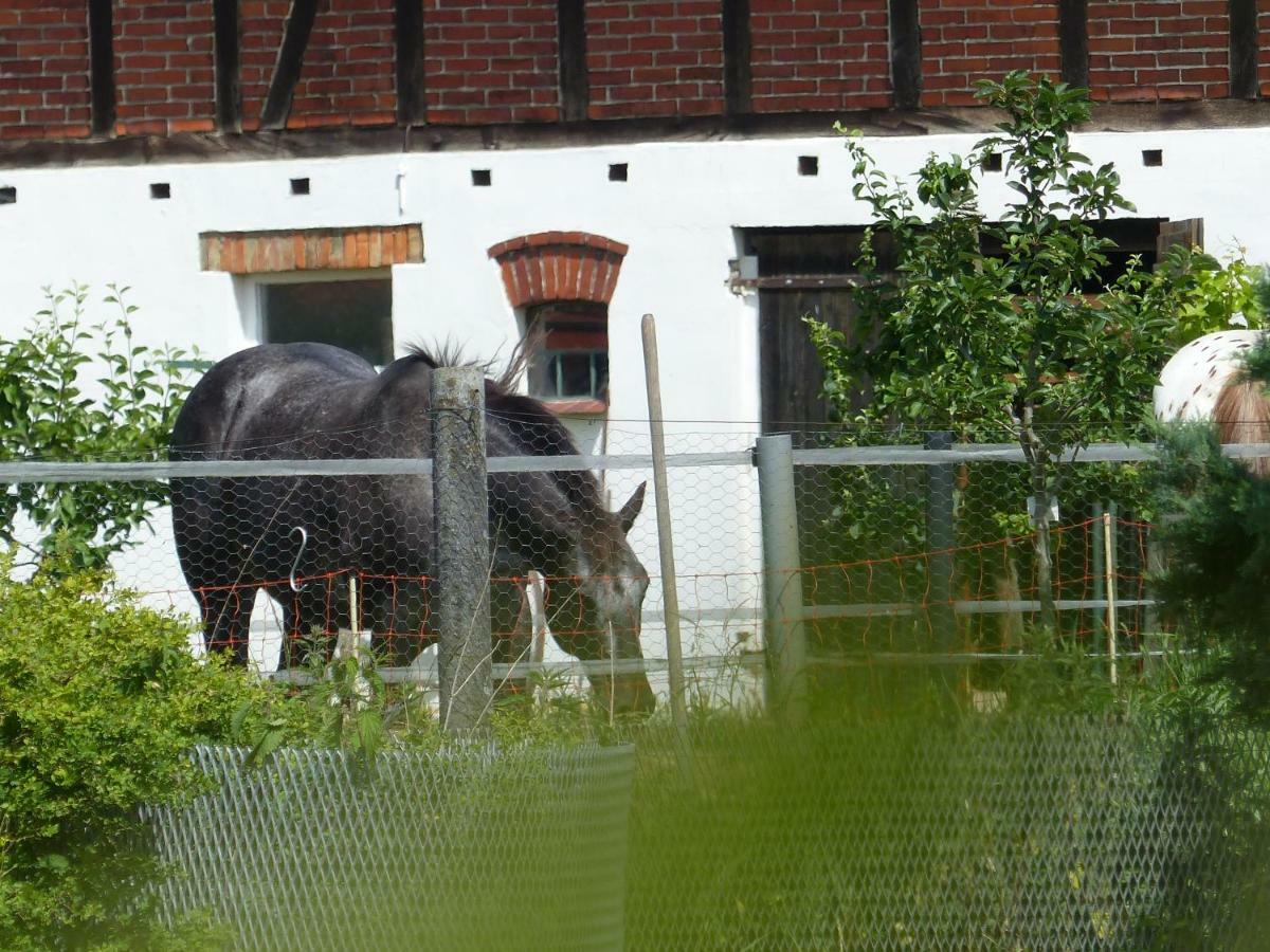 Ferienhaus Arendsee Arendsee  Exteriér fotografie